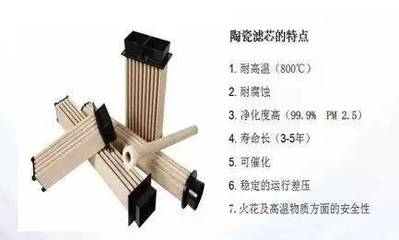 脫硫除塵新技術(shù)引領(lǐng)行業(yè)變革，東獅公司共襄智慧綠色工廠盛會(huì)